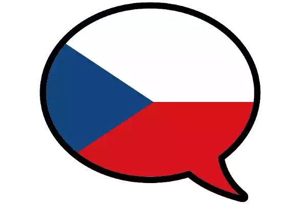 Переводчик чешского языка в Калуге